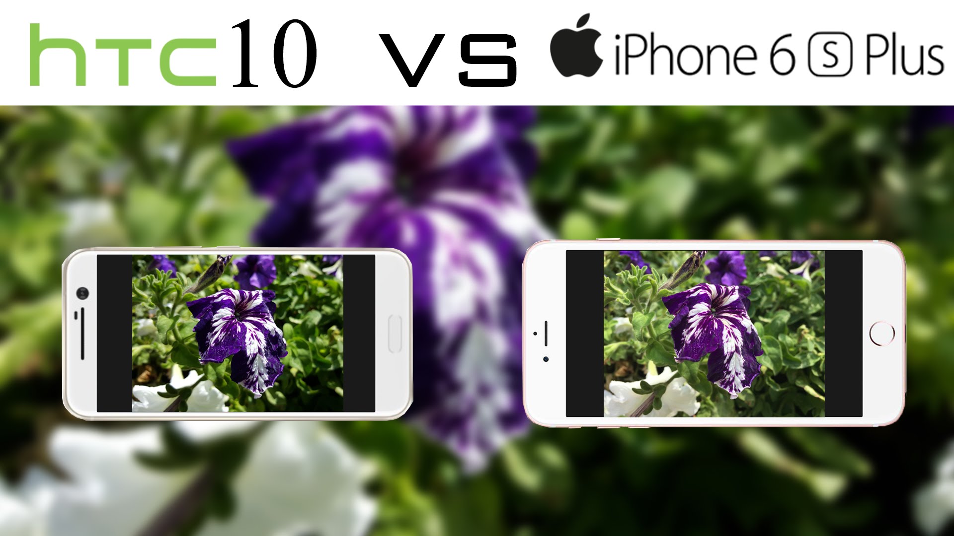 Camera quality: HTC 10 vs iPhone 7
